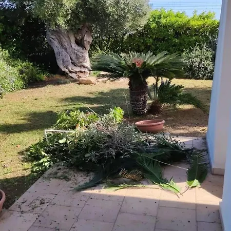 Emilia San Vito (Apulia)